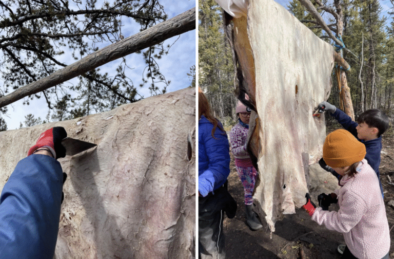 Learning Story – Scraping the Hide