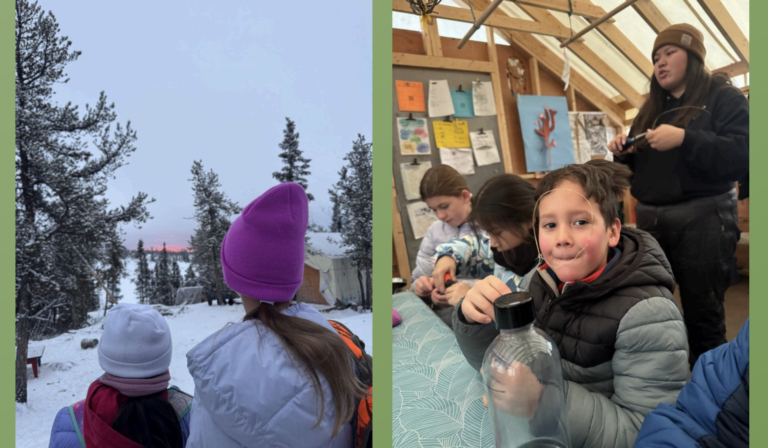 Learning Story – Trapping and Snaring