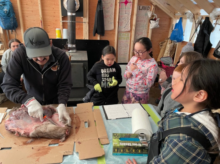 Learning Story – Caribou Donation